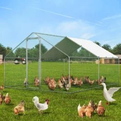 Poultry Fencing Large Metal Chicken Coop, 9.8 X 12.9 X 6.5 Ft. Walk-in Chicken Runs For Yard With Cover, Spire Roof Hen -Dewalt Tools Shop skyshalo chicken coops brsjp4x3x2mjbqgl6v0 0807 31 1000
