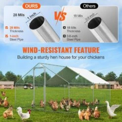 Poultry Fencing Large Metal Chicken Coop, 9.8 X 12.9 X 6.5 Ft. Walk-in Chicken Runs For Yard With Cover, Spire Roof Hen -Dewalt Tools Shop skyshalo chicken coops brsjp4x3x2mjbqgl6v0 0807 4f 1000