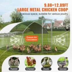 Poultry Fencing Large Metal Chicken Coop 9.8 Ft. X 12.9 Ft. X 6.5 Ft. Walk In Chicken Run For Yard With Waterproof Cover -Dewalt Tools Shop skyshalo chicken coops brsjp4x3x2mytlha4v0 0807 1f 1000