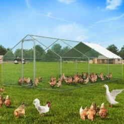 Poultry Fencing Large Metal Chicken Coop, 9.8 X 19.3 X 6.5 Ft. Walk-in Chicken Runs For Yard With Cover Spire Roof Hen -Dewalt Tools Shop skyshalo chicken coops brsjp6x3x2mjlvnlgv0 0807 31 1000
