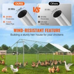 Poultry Fencing Large Metal Chicken Coop, 9.8 X 19.3 X 6.5 Ft. Walk-in Chicken Runs For Yard With Cover Spire Roof Hen -Dewalt Tools Shop skyshalo chicken coops brsjp6x3x2mjlvnlgv0 0807 4f 1000