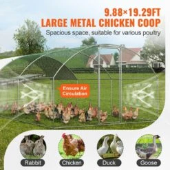 Poultry Fencing Large Metal Chicken Coop With Run, 9.8 X 19.3 X 6.5 Ft. Walk-in Chicken Runs For Yard With Cover 13 Poultry Fencing Large Metal Chicken Coop With Run, 9.8 X 19.3 X 6.5 Ft. Walk-in Chicken Runs For Yard With Cover -Dewalt Tools Shop skyshalo chicken coops brsjp6x3x2my7drckv0 0807 1f 1000