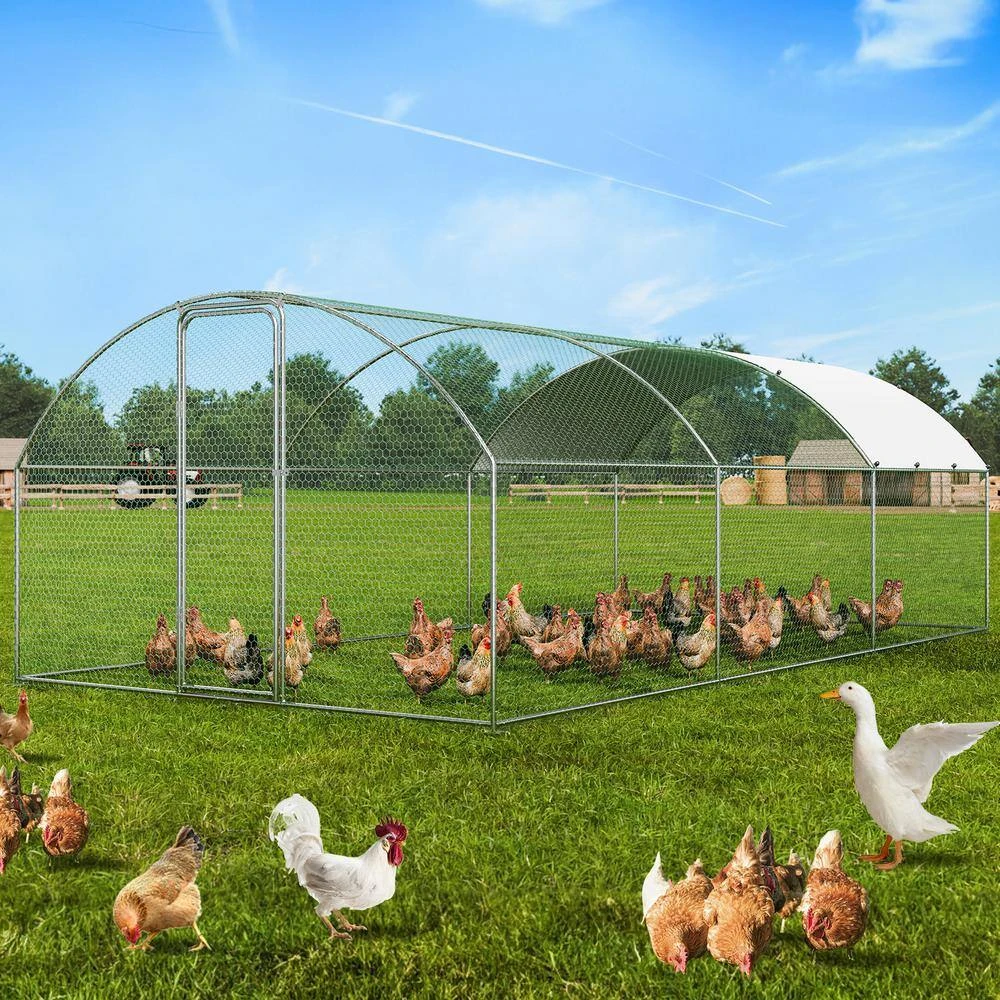 Poultry Fencing Large Metal Chicken Coop With Run, 9.8 X 19.3 X 6.5 Ft. Walk-in Chicken Runs For Yard With Cover 10 Poultry Fencing Large Metal Chicken Coop With Run, 9.8 X 19.3 X 6.5 Ft. Walk-in Chicken Runs For Yard With Cover - Image 8