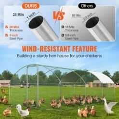 Poultry Fencing Large Metal Chicken Coop With Run, 9.8 X 19.3 X 6.5 Ft. Walk-in Chicken Runs For Yard With Cover 12 Poultry Fencing Large Metal Chicken Coop With Run, 9.8 X 19.3 X 6.5 Ft. Walk-in Chicken Runs For Yard With Cover -Dewalt Tools Shop skyshalo chicken coops brsjp6x3x2my7drckv0 0807 4f 1000