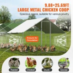 Poultry Fencing Large Metal Chicken Coop With Run, 9.8 X 25.6 X 6.5 Ft. Walk-in Chicken Runs For Yard With Cover Spire -Dewalt Tools Shop skyshalo chicken coops brsjp8x3x2mj5omw8v0 0807 1f 1000