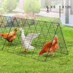 Poultry Fencing Chicken Tunnels 236.2 X 157.5 X 24.2 In. Chicken Tunnels For Yard Portable Chicken Tunnels For Outside -Dewalt Tools Shop skyshalo chicken coops yjsd2tdgj2tzz8o8ev0 0807 31 1000