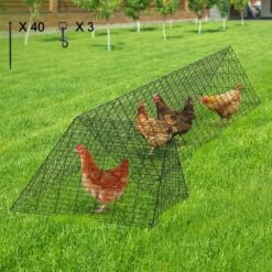 Poultry Fencing Chicken Tunnels 157.5 X 39.4 X 24.2 In. Chicken Tunnels For Yard Portable Chicken Tunnels -Dewalt Tools Shop skyshalo chicken coops yjsddgjkj000qx9msv0 0807 31 1000