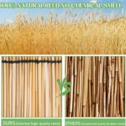 3.3 Ft. H X 16.4 Ft. W Natural Reeds Eco-Friendly Privacy Screen Curtain Bamboo-Like Patio Decors Reed Fencing Rolls 17 3.3 Ft. H X 16.4 Ft. W Natural Reeds Eco-Friendly Privacy Screen Curtain Bamboo-Like Patio Decors Reed Fencing Rolls -Dewalt Tools Shop tan atengnes garden fencing yd240175 44 1000