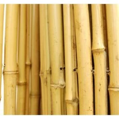 3/4 In D 48 In H X 96 In W Natural Rolled Bamboo Fence Natural Bamboo Fencing Decorative Rolled Wood Fence Panel -Dewalt Tools Shop tan backyard x scapes garden fencing 21 n4 c3 1000