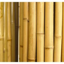 1 In. D X 6 Ft. H X 8 Ft. W Natural Bamboo Fence Decorative Rolled Fencing Panel 14 1 In. D X 6 Ft. H X 8 Ft. W Natural Bamboo Fence Decorative Rolled Fencing Panel -Dewalt Tools Shop tan backyard x scapes garden fencing 22 n6 4f 1000