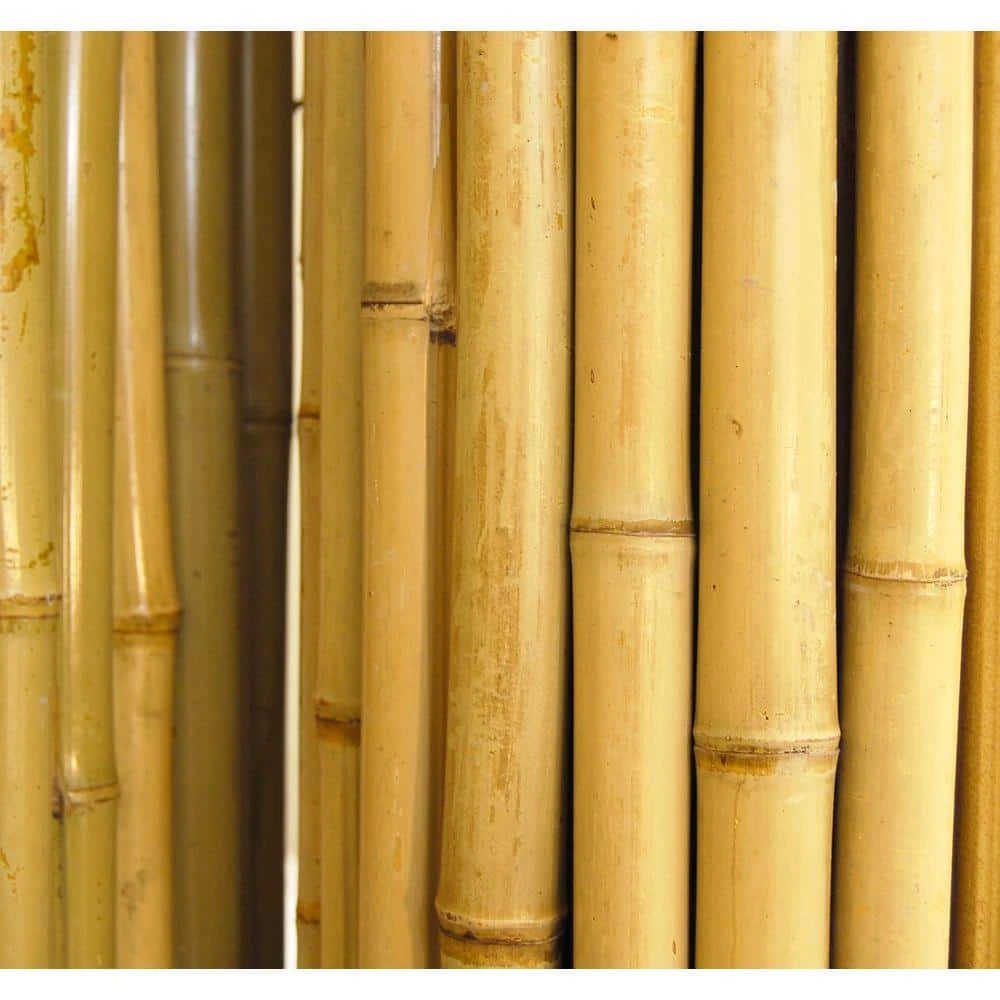 1 In. D X 6 Ft. H X 8 Ft. W Natural Bamboo Fence Decorative Rolled Fencing Panel 6 1 In. D X 6 Ft. H X 8 Ft. W Natural Bamboo Fence Decorative Rolled Fencing Panel - Image 4
