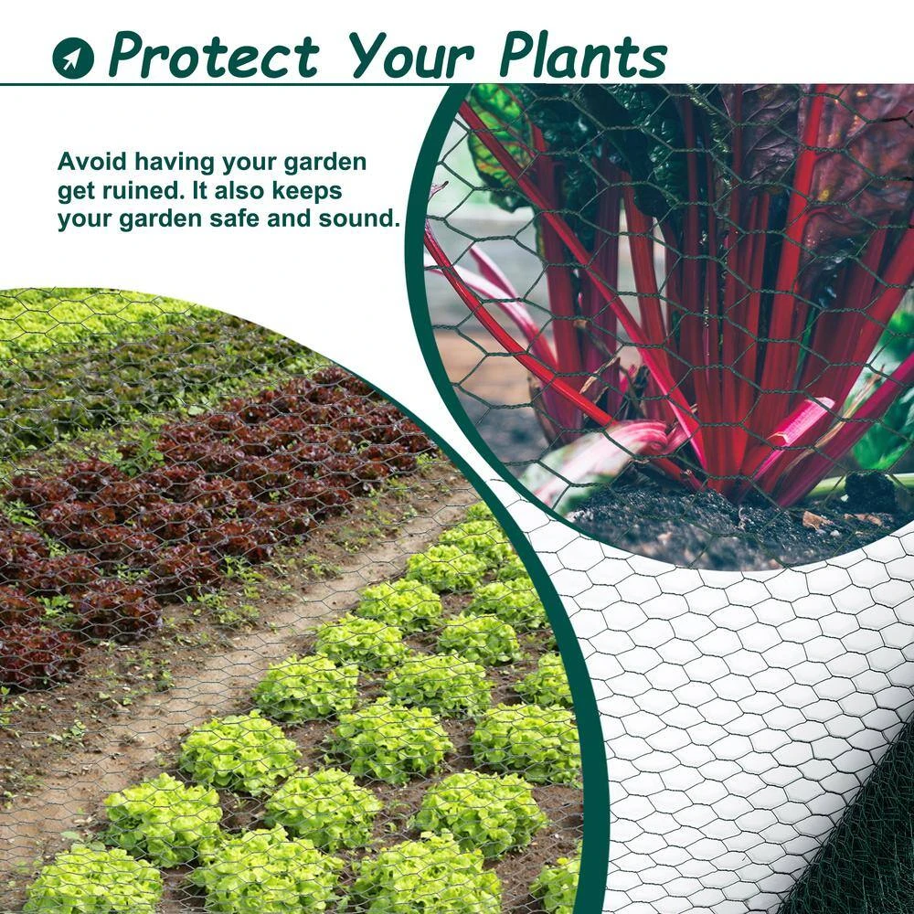 3.6 Ft. X 197 Ft. Green Galvanized Iron Hardware Cloth, Hexagonal Chicken Wire Fencing For Outdoor Garden Fencing 5 3.6 Ft. X 197 Ft. Green Galvanized Iron Hardware Cloth, Hexagonal Chicken Wire Fencing For Outdoor Garden Fencing - Image 3