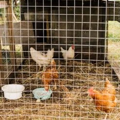 48 In. X 50 Ft. Silver Galvanized Steel Vinyl Coated Hardware Cloth, 23-Gauge Chicken Wire Fencing For Garden Fencing -Dewalt Tools Shop tileon patio parts hw yjhdra160 31 1000