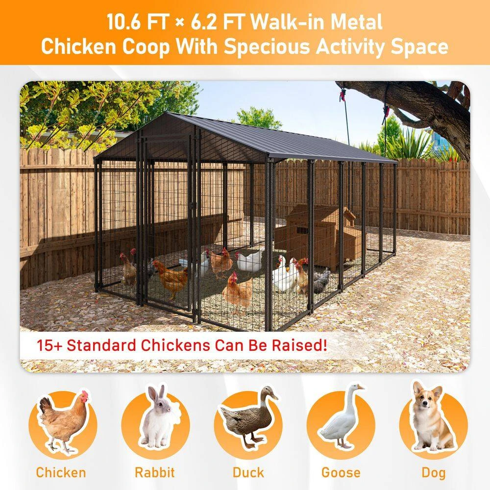 10.6 Ft X 6.2 Ft Large Metal Chicken Coop With Run For 15 Chickens Galvanized Metal Roof Poultry Fencing Chicken 4 10.6 Ft X 6.2 Ft Large Metal Chicken Coop With Run For 15 Chickens Galvanized Metal Roof Poultry Fencing Chicken - Image 2