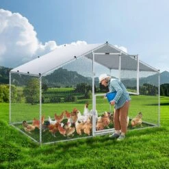 6.6 Ft. X 9.8 Ft. X 6.6 Ft. Large Metal Chicken Coop With Run Walk-In Chicken Coop With Waterproof Cover Poultry Fencing -Dewalt Tools Shop vevor chicken runs brs65x98x64ftokufv0 31 1000