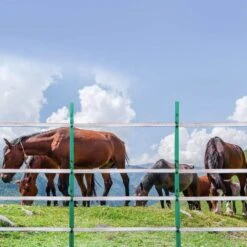 Electric Fence Tape, 1640 Ft. 500 M Polytope Fencing Hot Wire, 3/4 In. Width 6 Stainless Steel Strands For Conductivity 17 Electric Fence Tape, 1640 Ft. 500 M Polytope Fencing Hot Wire, 3/4 In. Width 6 Stainless Steel Strands For Conductivity -Dewalt Tools Shop vevor electric fence wire wldxjdkjdk16sg4fmy3 31 1000