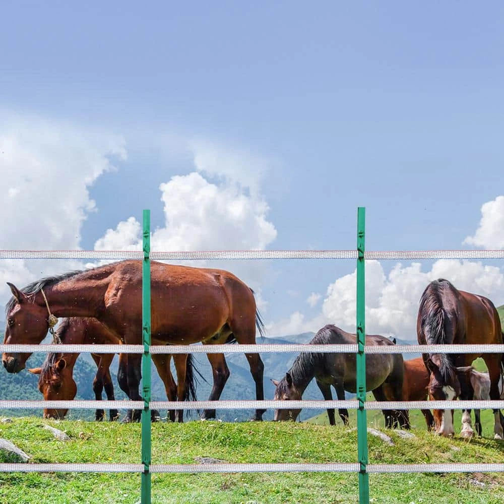 Electric Fence Tape, 1640 Ft. 500 M Polytope Fencing Hot Wire, 3/4 In. Width 6 Stainless Steel Strands For Conductivity 10 Electric Fence Tape, 1640 Ft. 500 M Polytope Fencing Hot Wire, 3/4 In. Width 6 Stainless Steel Strands For Conductivity - Image 8