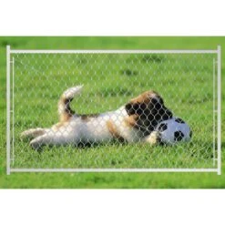 6 Ft. W X 3.8 Ft. H Adjustable Chain Link Walk Fence Gate With Round Corner Frame For Decking And Fencing -Dewalt Tools Shop wrightmaster chain link fence gates zeyp277607 1d 1000