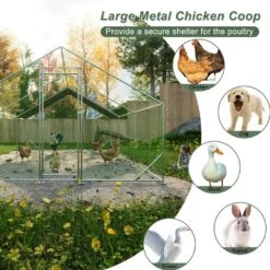 10 Ft. X 20 Ft. X 6.56 Ft. Galvanized Wire Chicken Coop W/ Waterproof And Anti-Ultraviolet Cover Walk-in Poultry Fencing -Dewalt Tools Shop wrightmaster chicken coops zeyp184738 40 1000