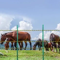 Electric Fence Wire 1640 Ft. 500m Polywire 1/8 In. Diameter 6 Stainless Steel Strands Fencing Rope With 25 Fence -Dewalt Tools Shop yellow black svopes garden fencing wldxjskjsk160wwtxy3 250206 31 1000