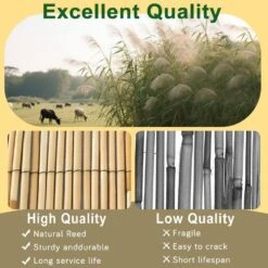 0.25-0. 37 In. Dia. 4 Ft. X 16.4 Ft. Reed Bamboo Screen Privacy Fence Backyard Divider Decorative Garden Fencing Natural -Dewalt Tools Shop yellow ecostake garden fencing rbs19648 1f 1000