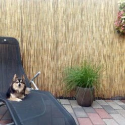 0.13-0.25in. Dia. 6 Ft. X 16.4 Ft. Reed Bamboo Screen Privacy Fence Backyard Divider Decorative Garden Fencing Natural 11 0.13-0.25in. Dia. 6 Ft. X 16.4 Ft. Reed Bamboo Screen Privacy Fence Backyard Divider Decorative Garden Fencing Natural -Dewalt Tools Shop yellow ecostake garden fencing rf0616ns 44 1000